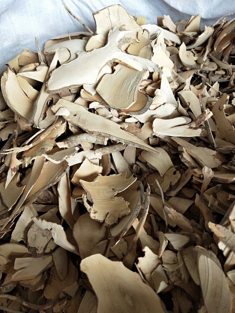 中药材茶树根货真价实量大从优无熏硫