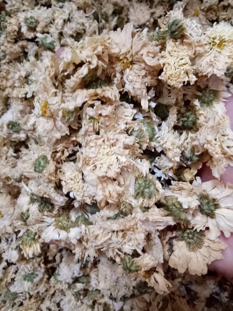 菊花茶