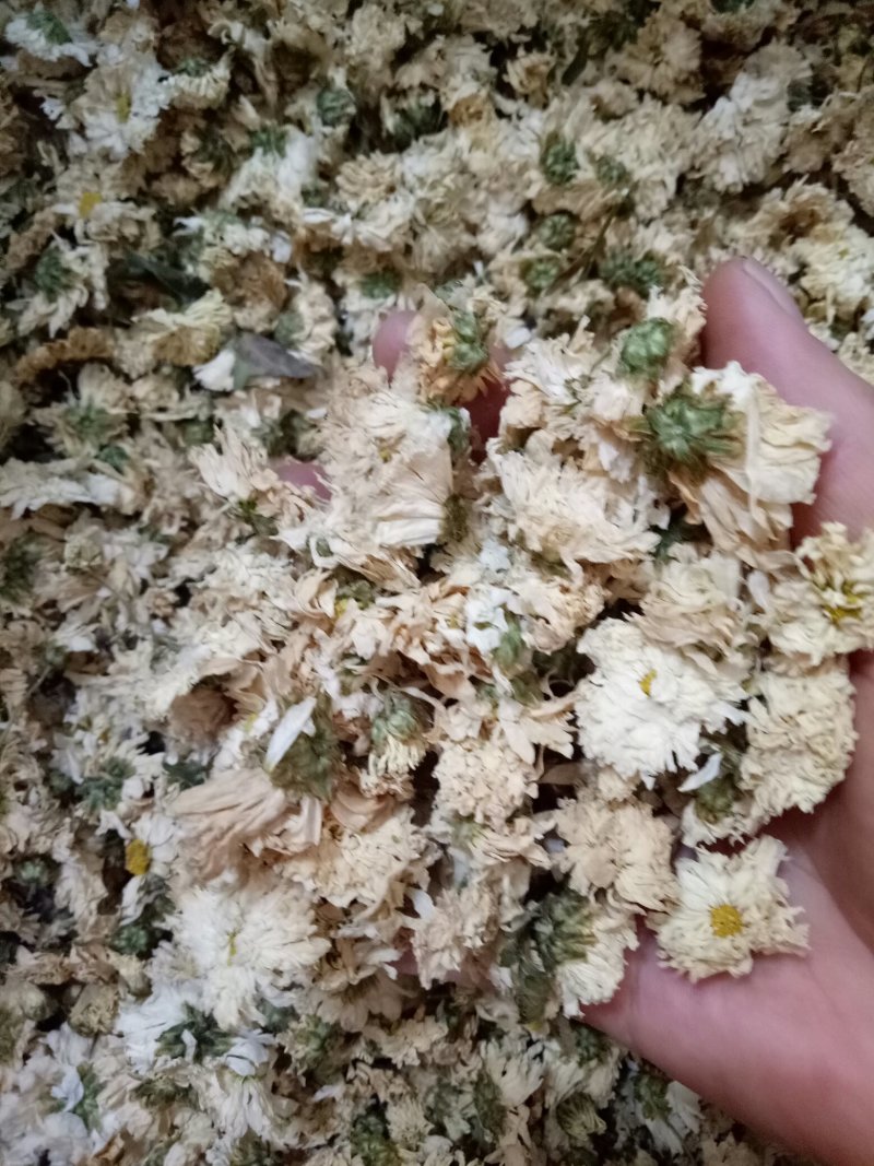 菊花茶