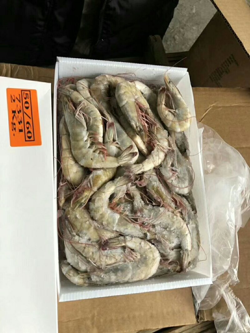 多尔虾