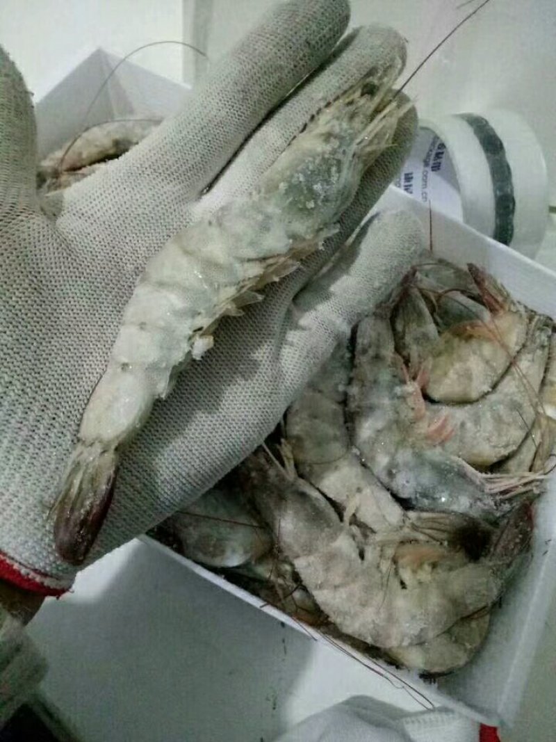 多尔虾