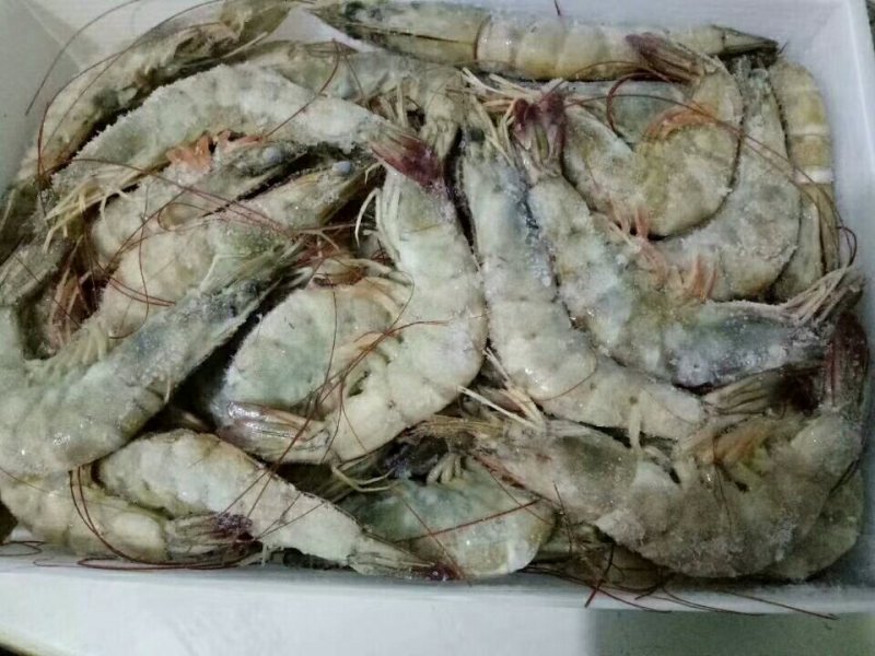 多尔虾