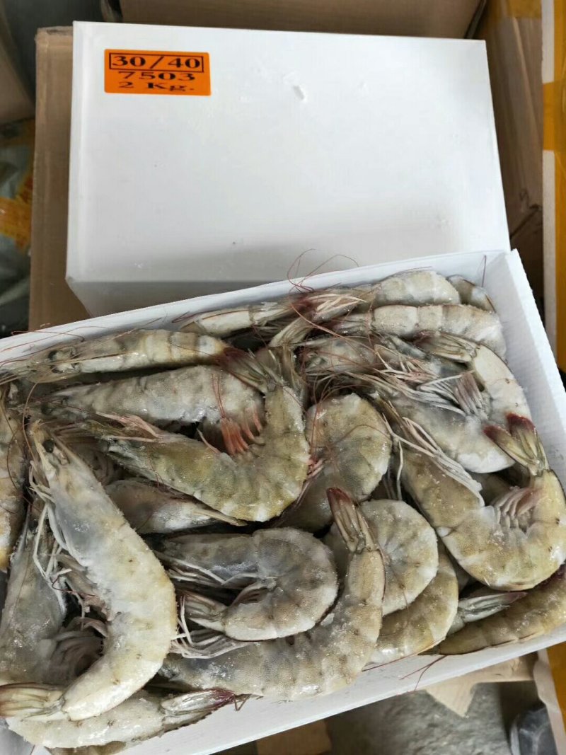 多尔虾