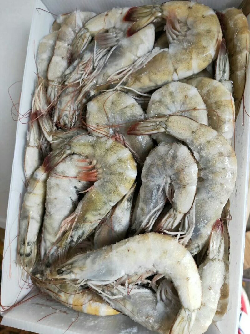 多尔虾
