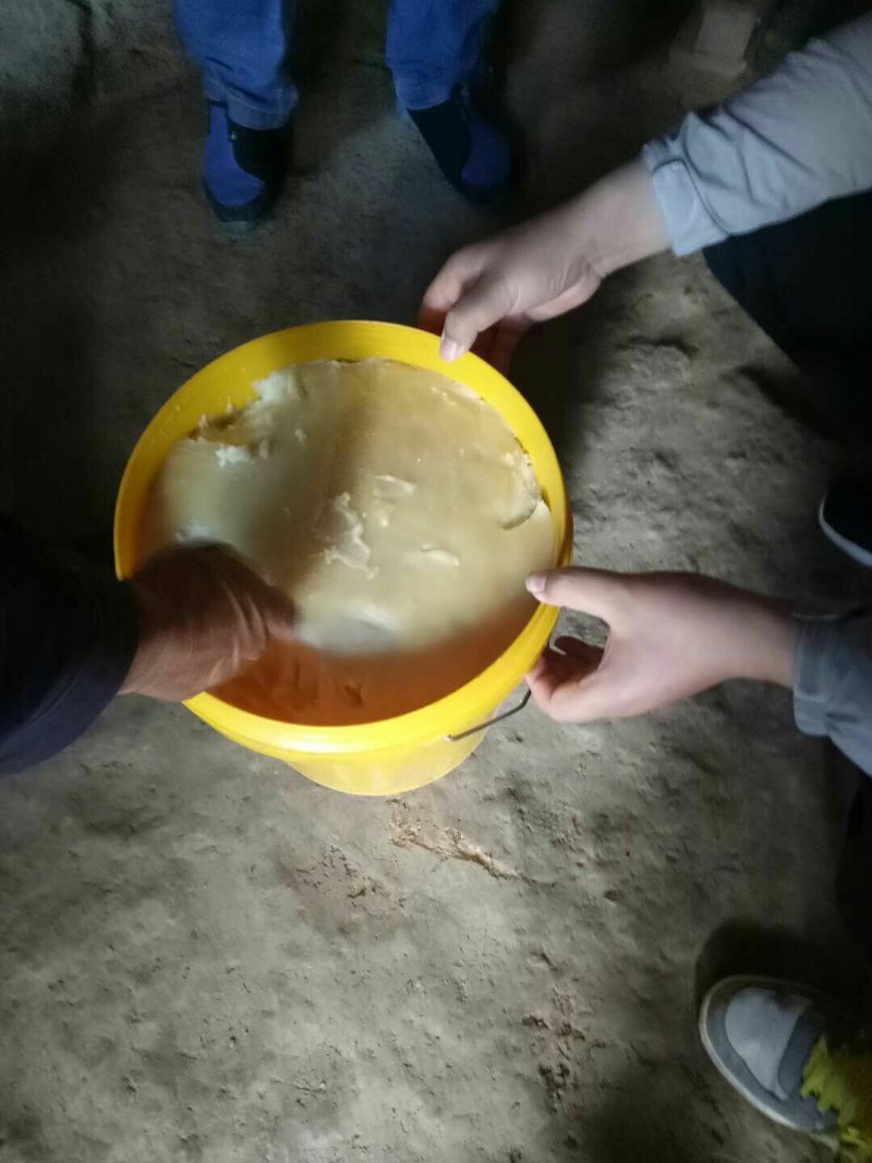 洋槐蜜槐花蜜39元一斤包邮