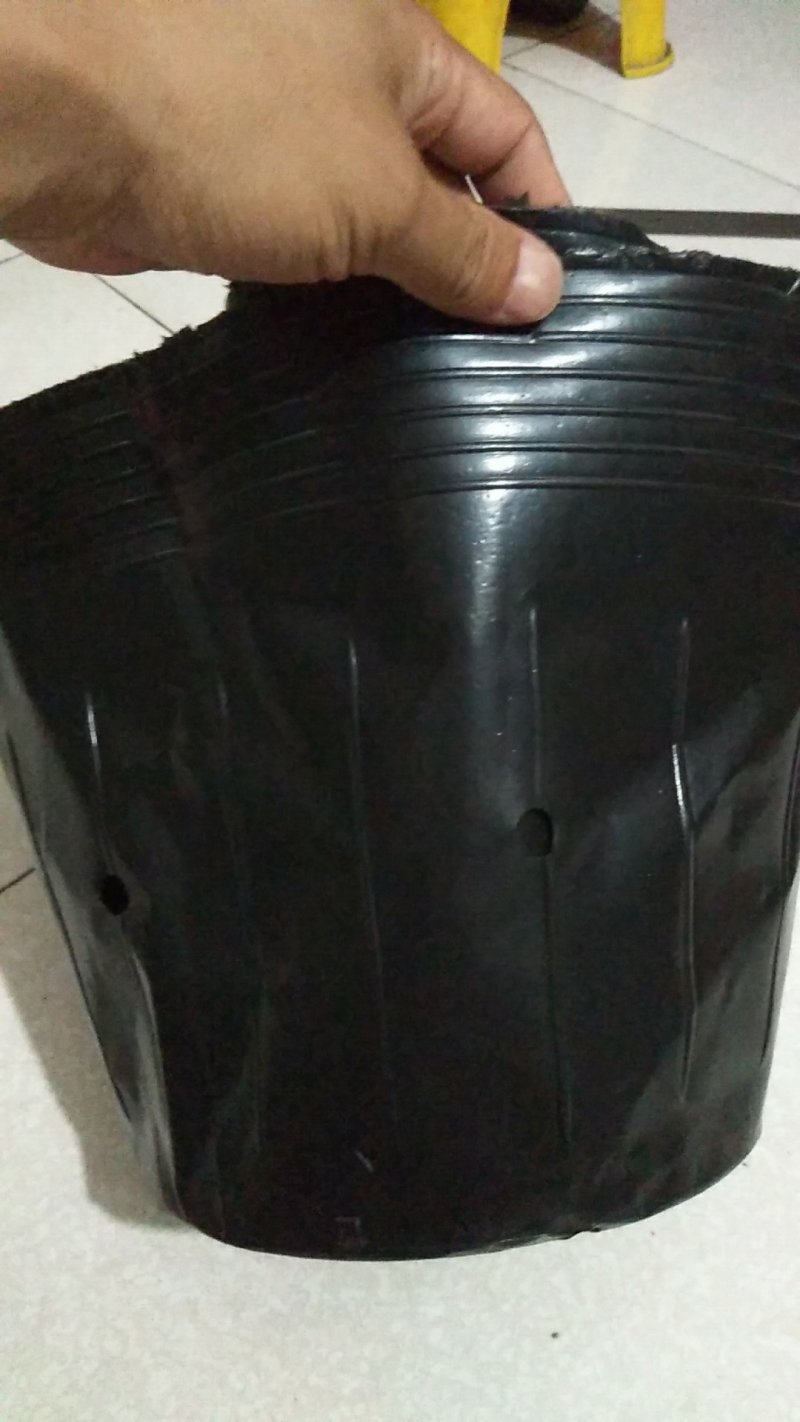 营养钵35×35好产品质量超好防晒