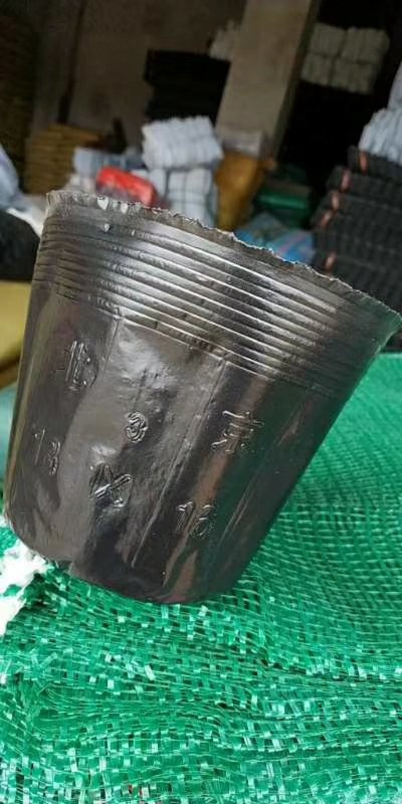 营养钵30×30，中型育苗杯