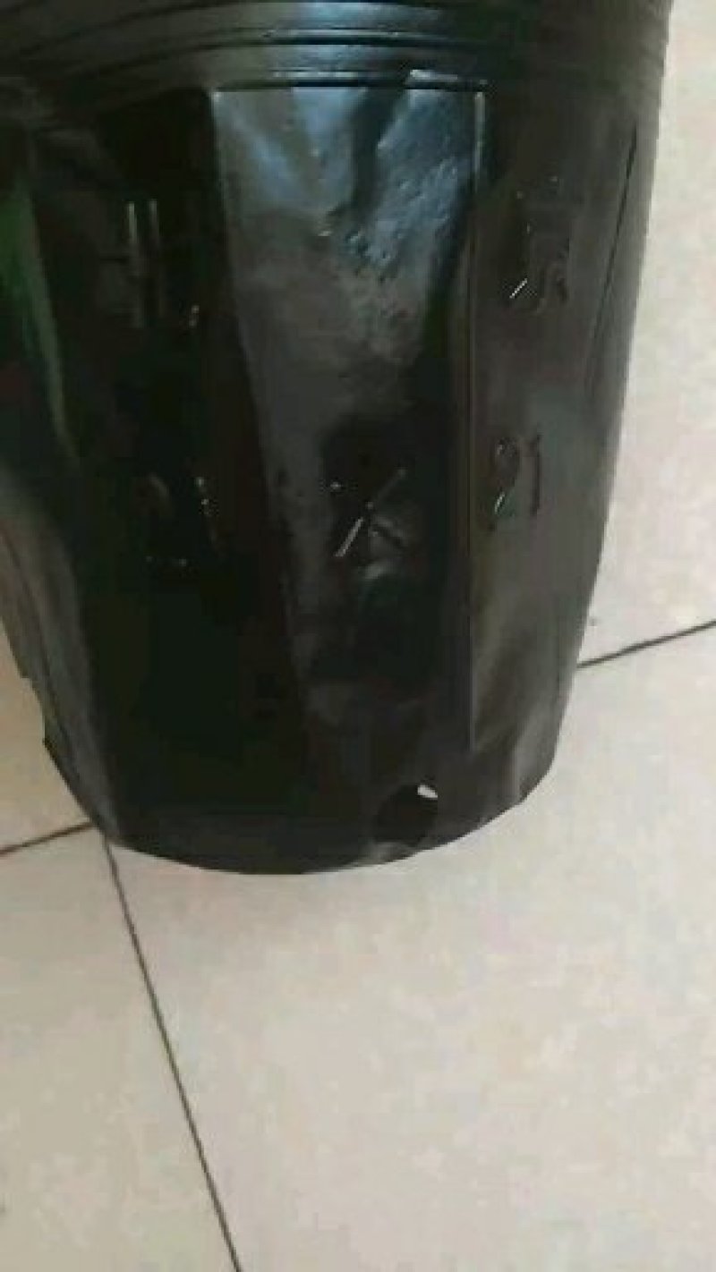 营养钵30×30，中型育苗杯