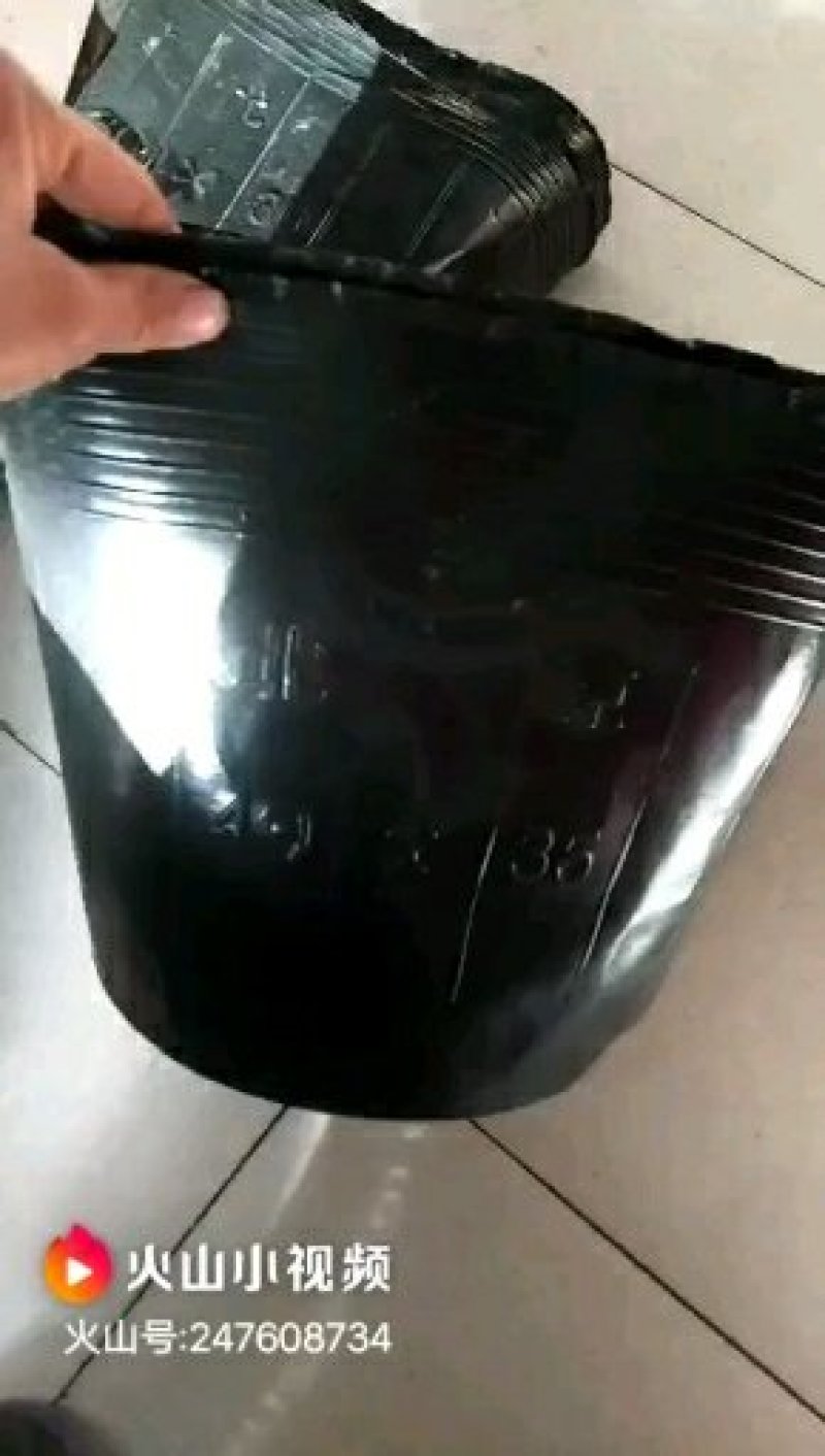 营养钵30×30，中型育苗杯