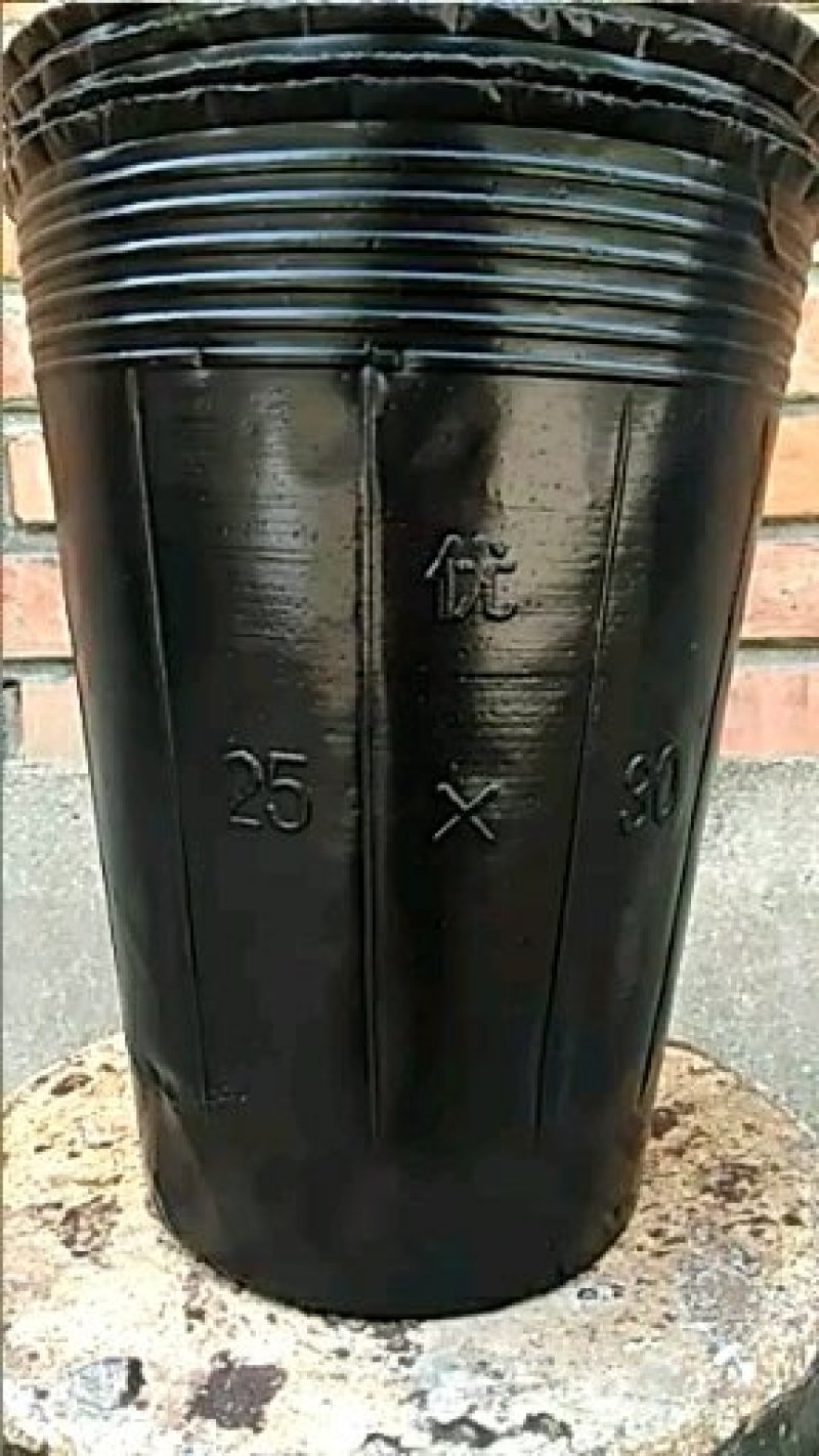 营养钵30×30，中型育苗杯