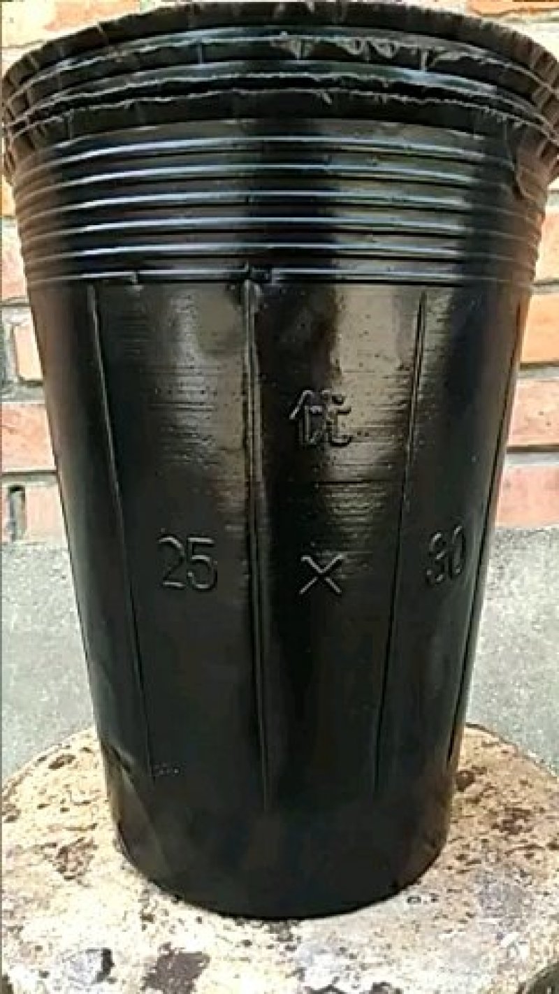 营养钵30×30，中型育苗杯