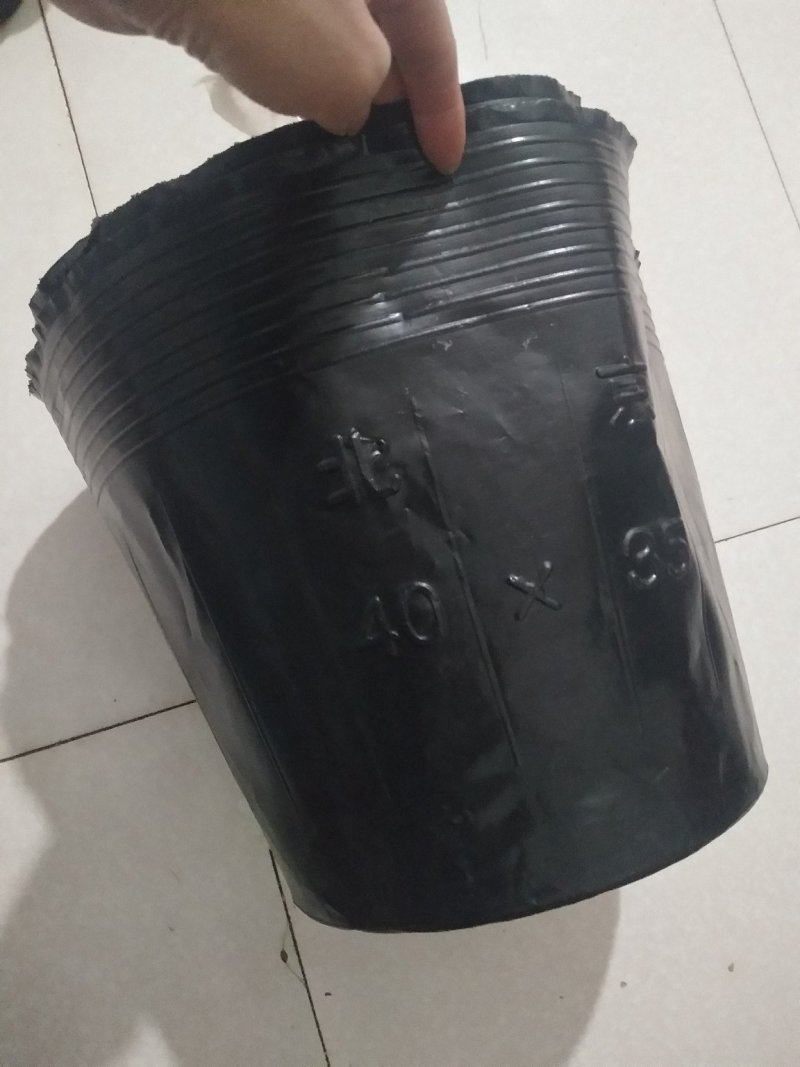营养钵30×30，中型育苗杯