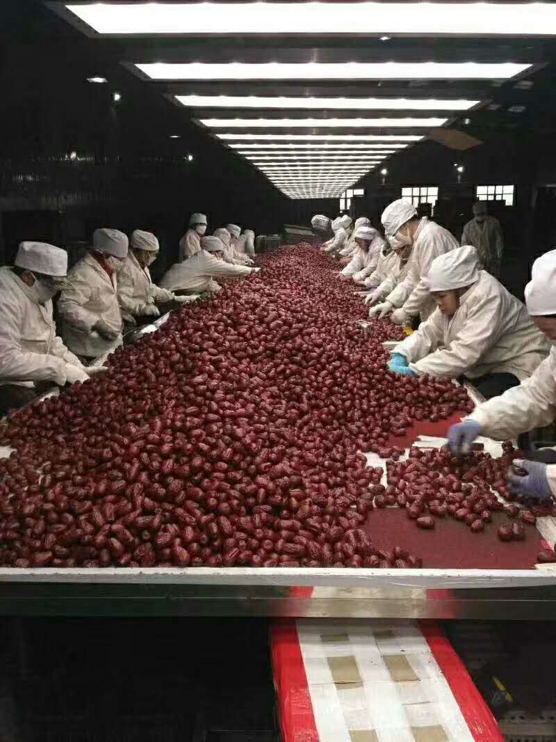 新疆若羌红枣，农民自产自销。