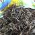 云南普洱茶绿茶！春茶隆重上市了欢迎爱茶老板来电打扰！全国
