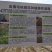 五指毛桃苗营养袋苗带土发货南方种植五指毛桃树苗