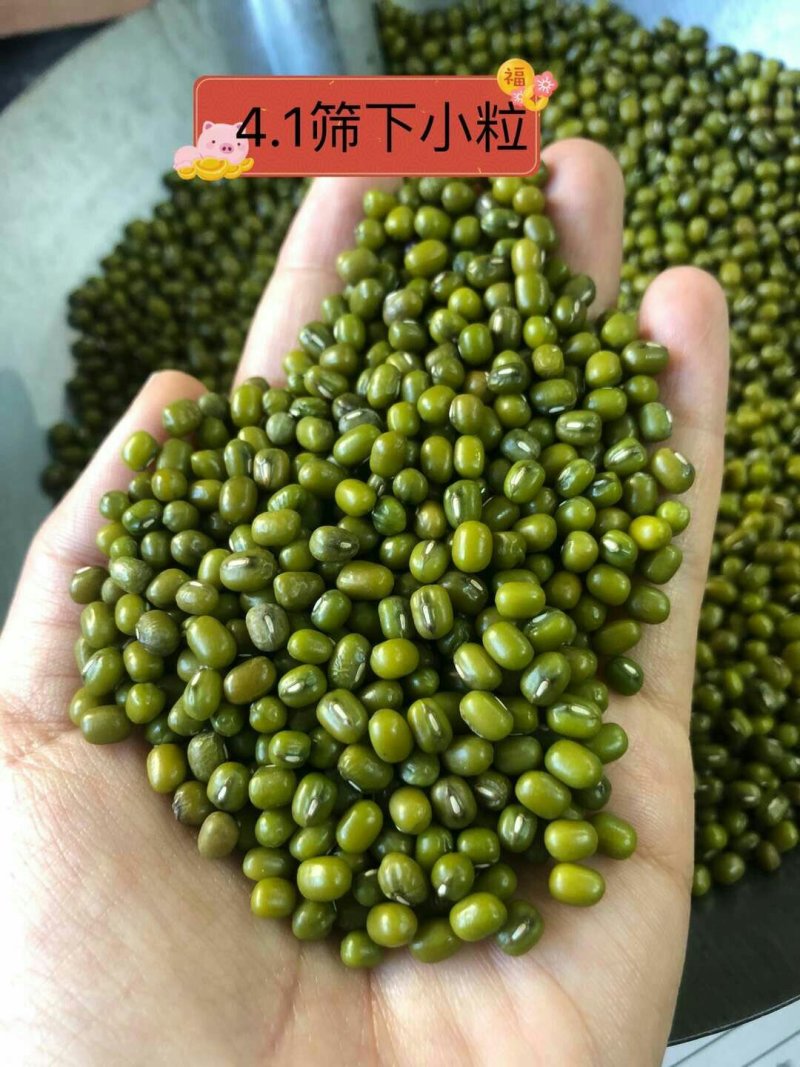 绿豆-袋装-东北粗粮，五谷杂粮，打豆浆，绿豆汤原料