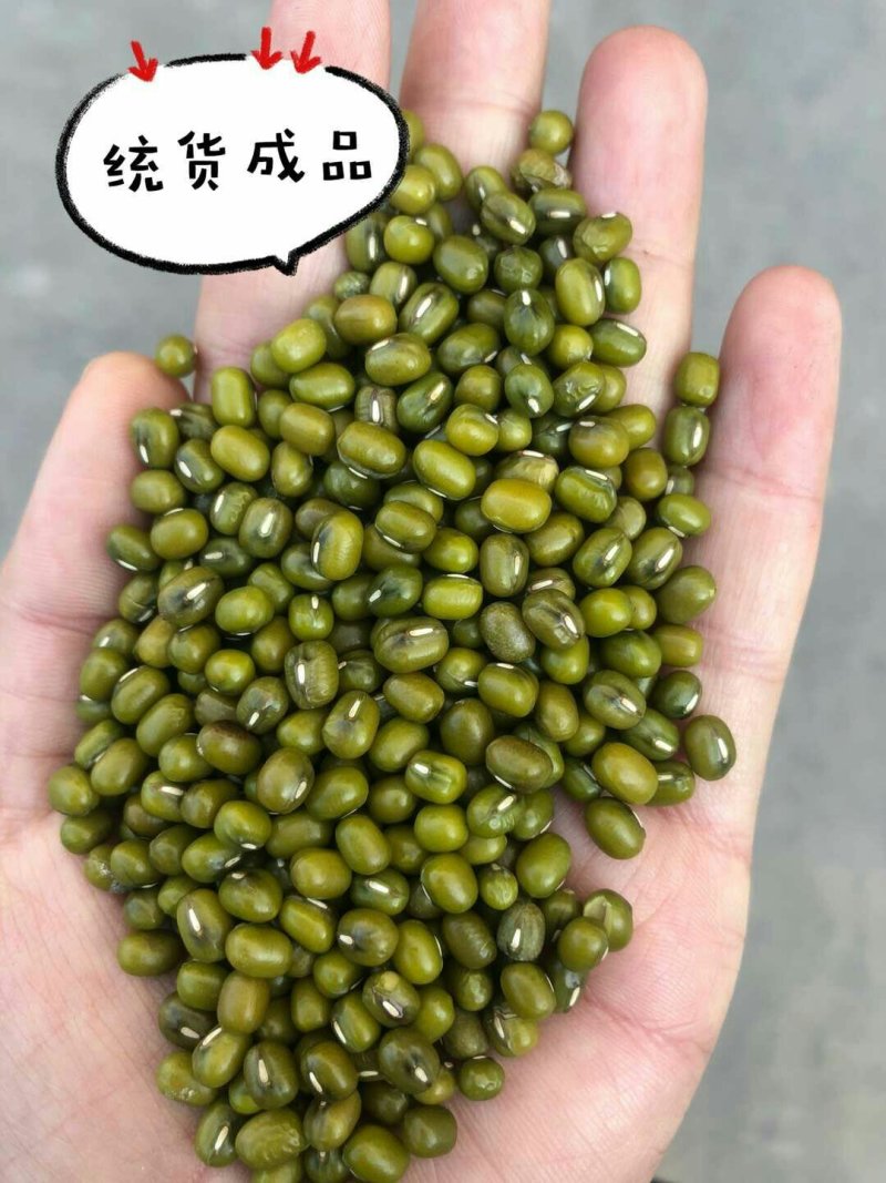 绿豆-袋装-东北粗粮，五谷杂粮，打豆浆，绿豆汤原料