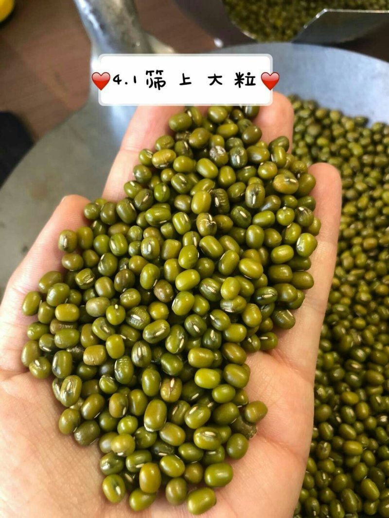 绿豆-袋装-东北粗粮，五谷杂粮，打豆浆，绿豆汤原料
