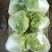 东京868包头白菜，