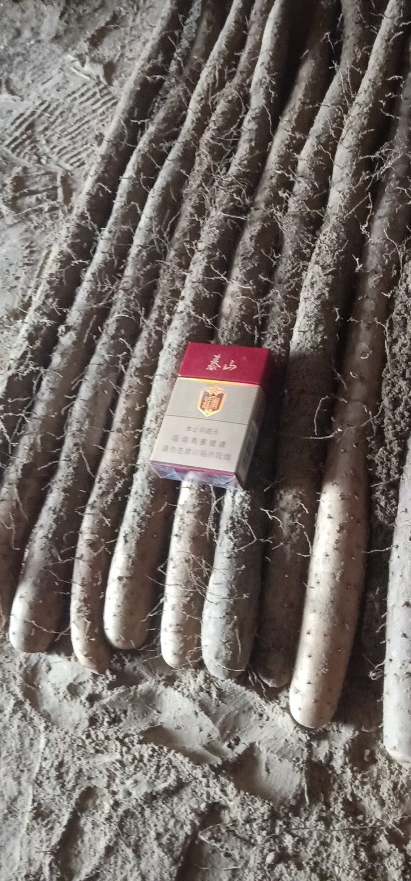 【规格齐全】白玉山药品质好营养高大量供应质量保证