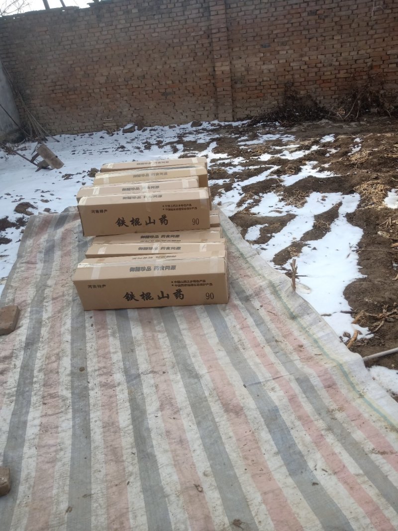 【规格齐全】白玉山药品质好营养高大量供应质量保证
