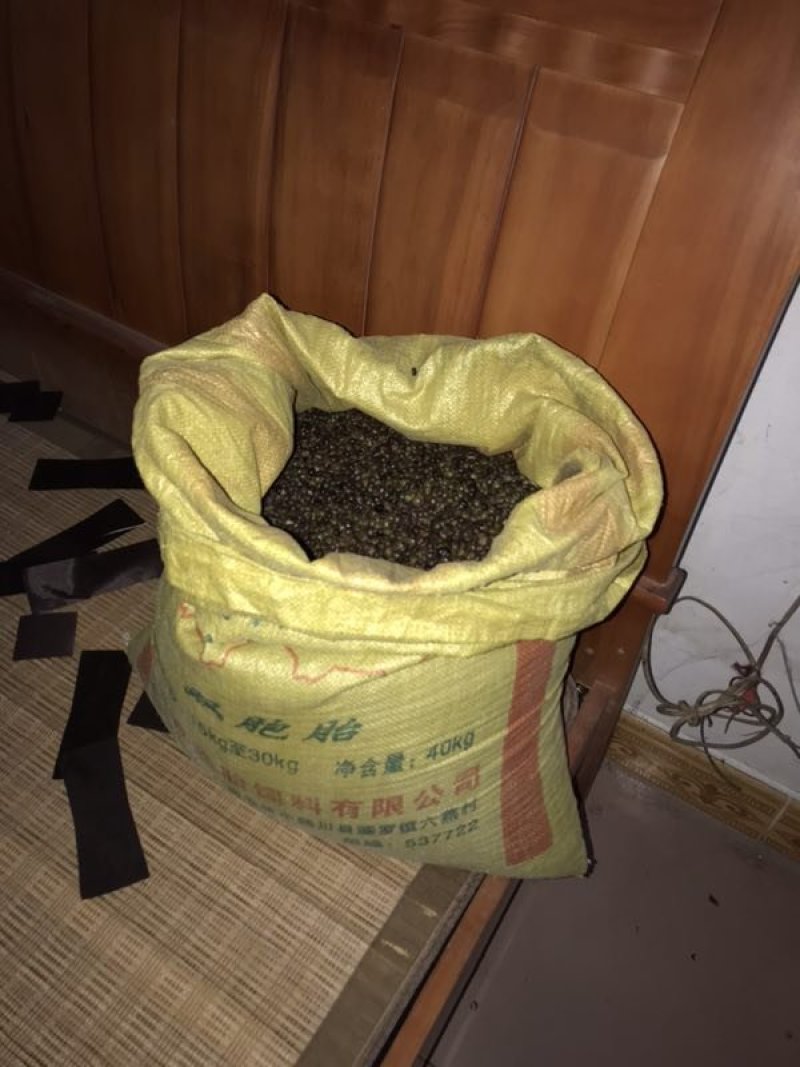 小叶牛大力种子