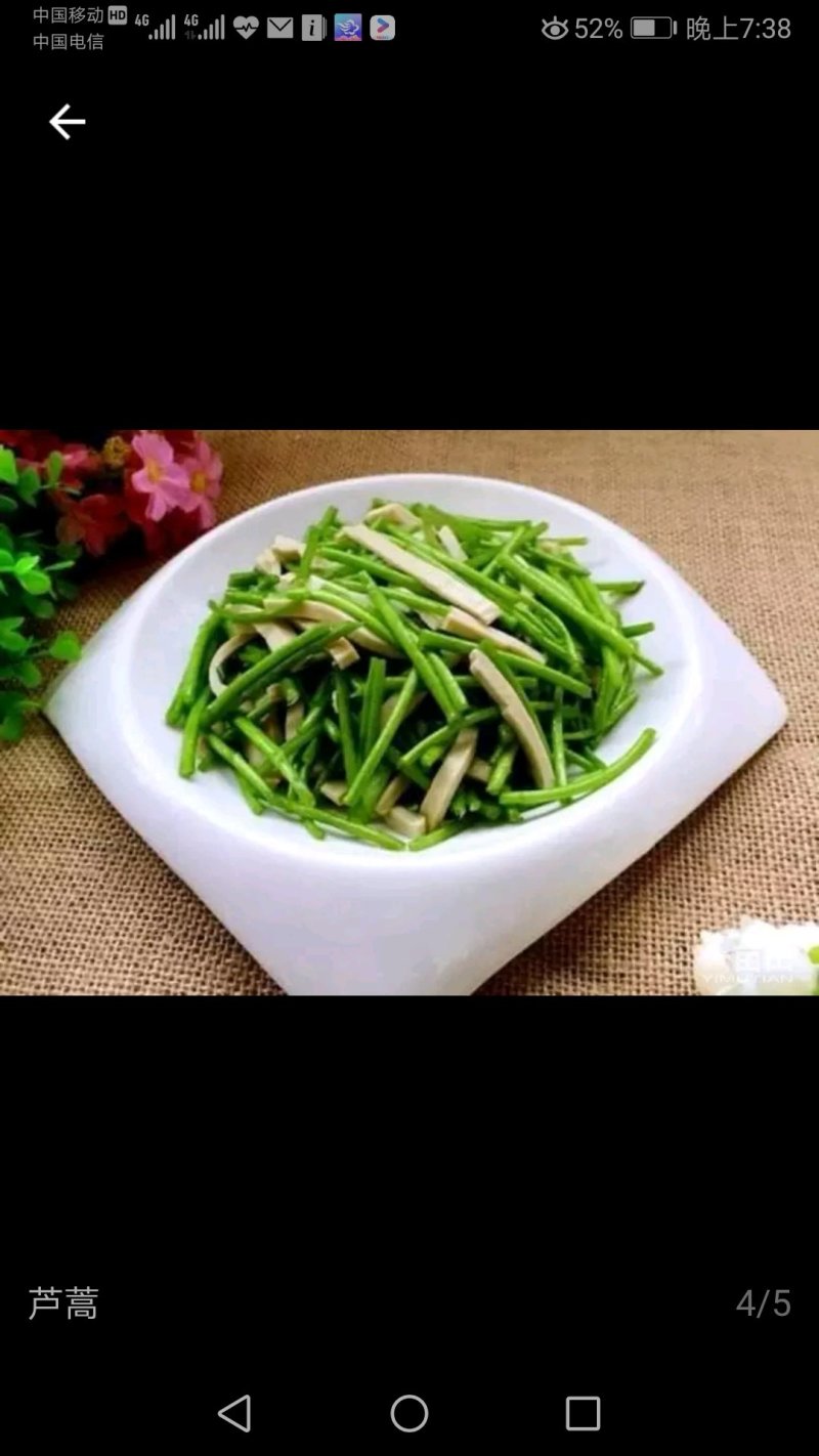 新鲜头茬芦蒿上市，价格8元/斤