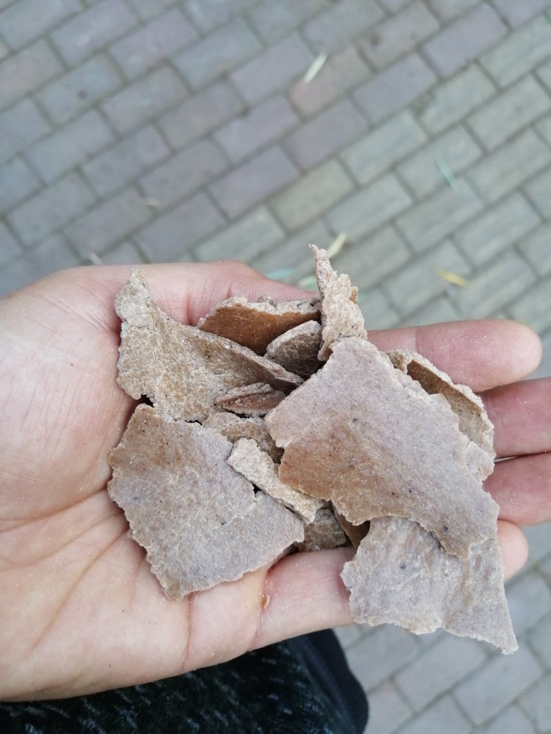 花生饼，纯仁冷榨，颜色厚度如图所示，