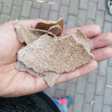 花生饼，纯仁冷榨，颜色厚度如图所示，