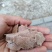 花生饼，颜色厚度如图，纯仁冷榨，