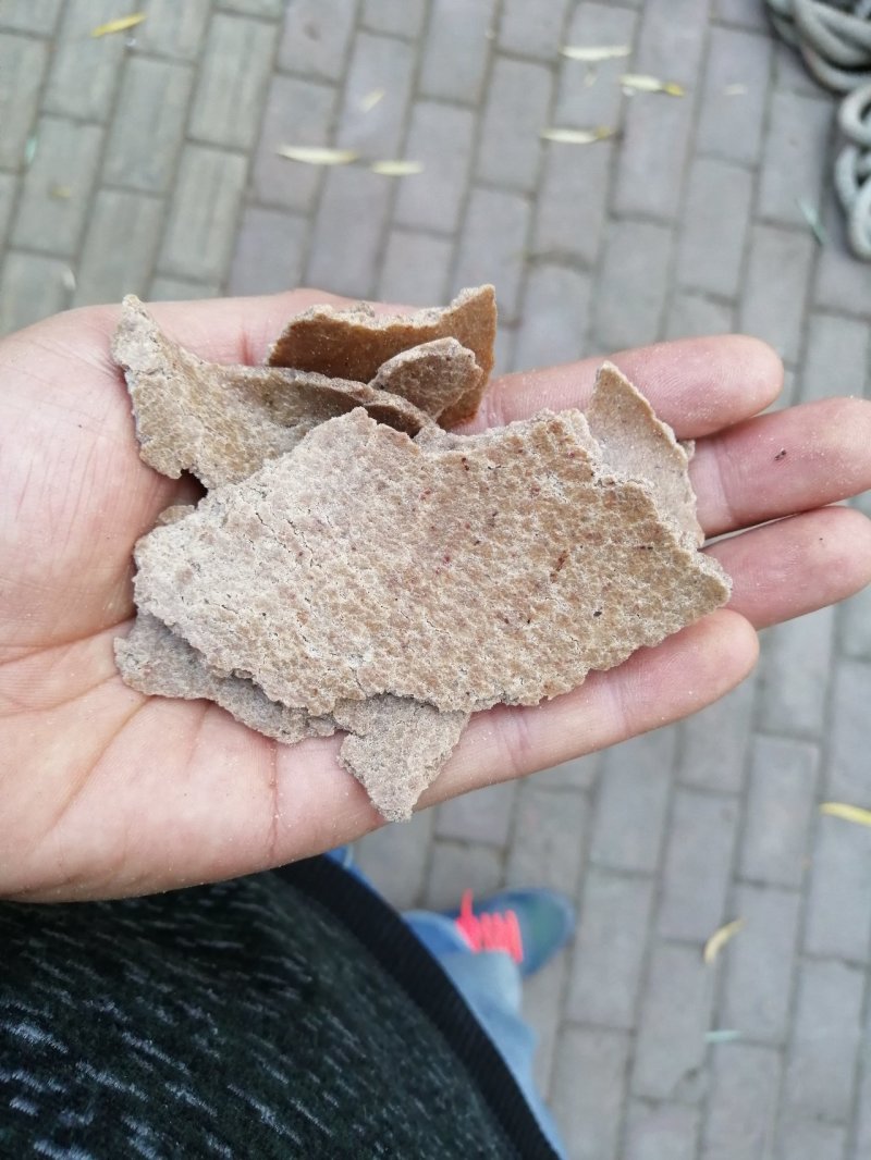 花生饼，颜色厚度如图，纯仁冷榨，