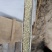 艾草艾渣(艾杆粉)，常年有货，大量供应，