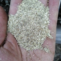 艾草艾渣(艾杆粉)，常年有货，大量供应，