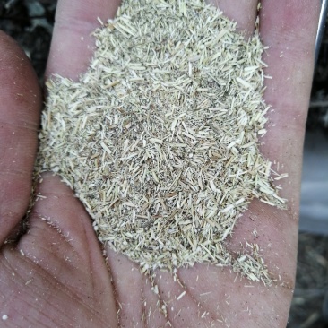 艾草艾渣(艾杆粉)，常年有货，大量供应，