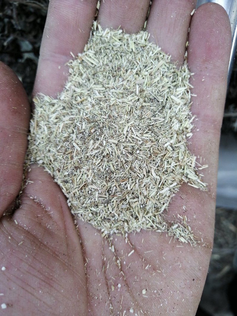 艾草艾渣(艾杆粉)，常年有货，大量供应，