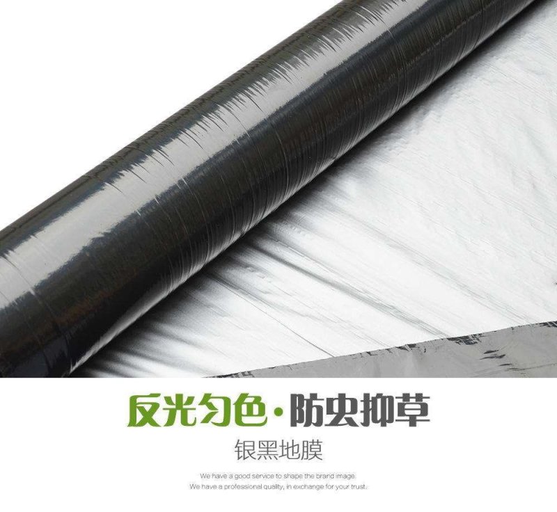 银灰地膜防草地膜草莓地膜反光膜银灰双色地膜银黑地膜