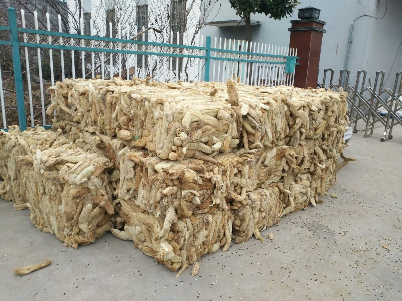丝瓜络，新货，货干，质量好，常年主营丝瓜络各种规格