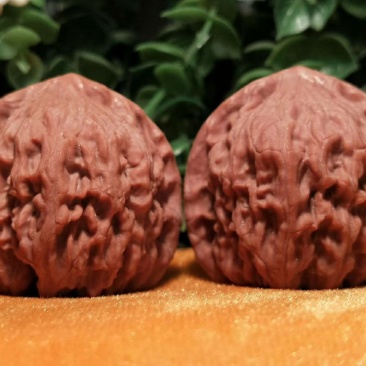 编号1171号精品小众红狮子头，边39-39肚39-3