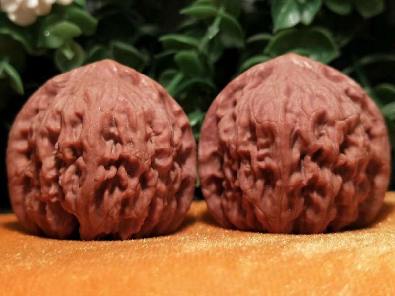 编号1171号精品小众红狮子头，边39-39肚39-3