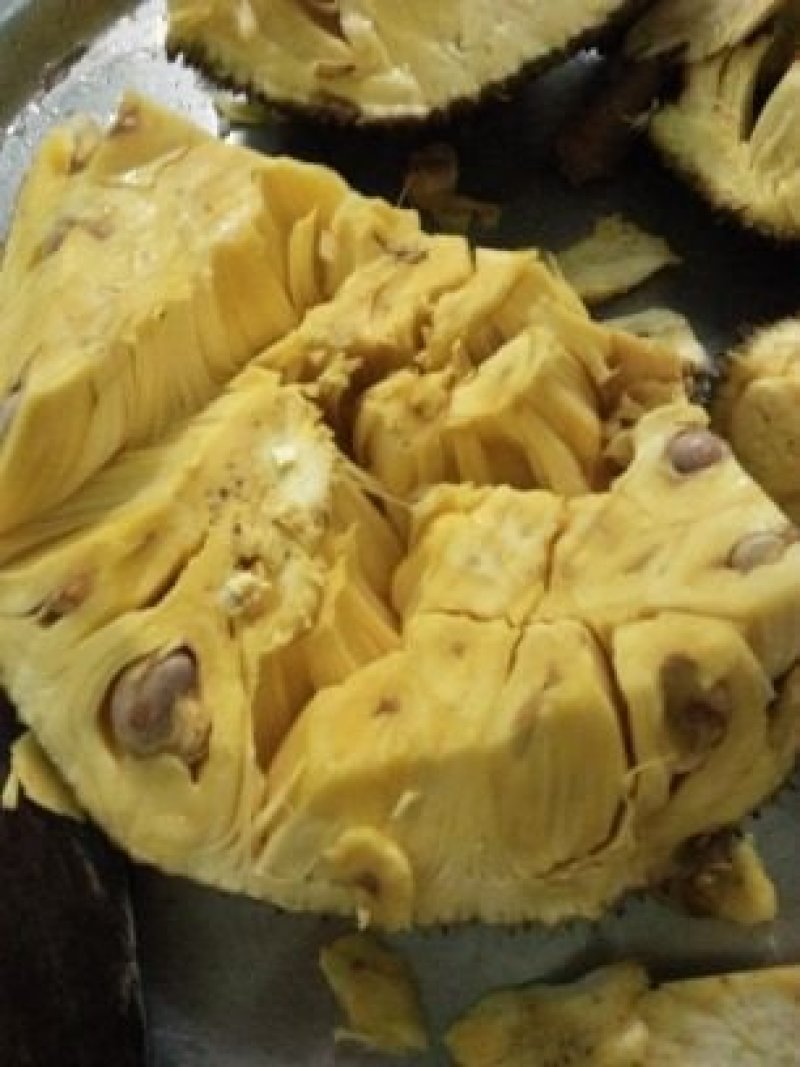 越南菠萝蜜