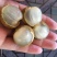 越南龙眼