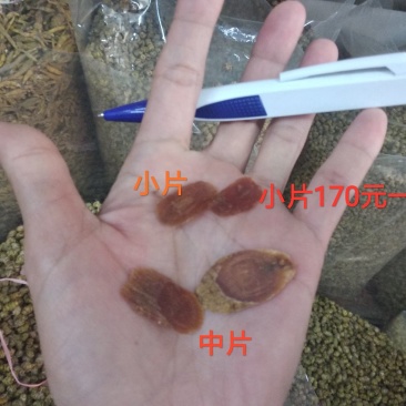 红参各种规格批发