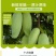 大青芒果10斤装包邮！当季新鲜水果支持一件代发