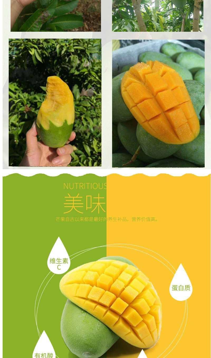大青芒果10斤装包邮！当季新鲜水果支持一件代发