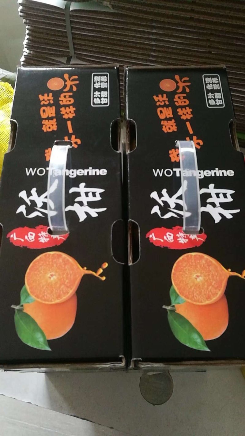 广西武鸣精品沃柑皮薄肉甜10斤装包邮新鲜水果桔子