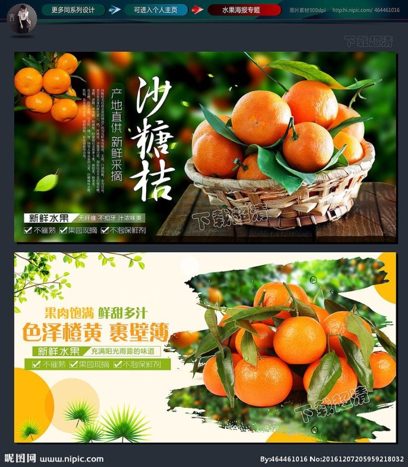 阳朔砂糖橘