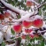 晚熟桃树苗秋雪红桃树苗抗寒易成活南北方种植