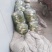 青萝卜，各种蔬菜常年供应