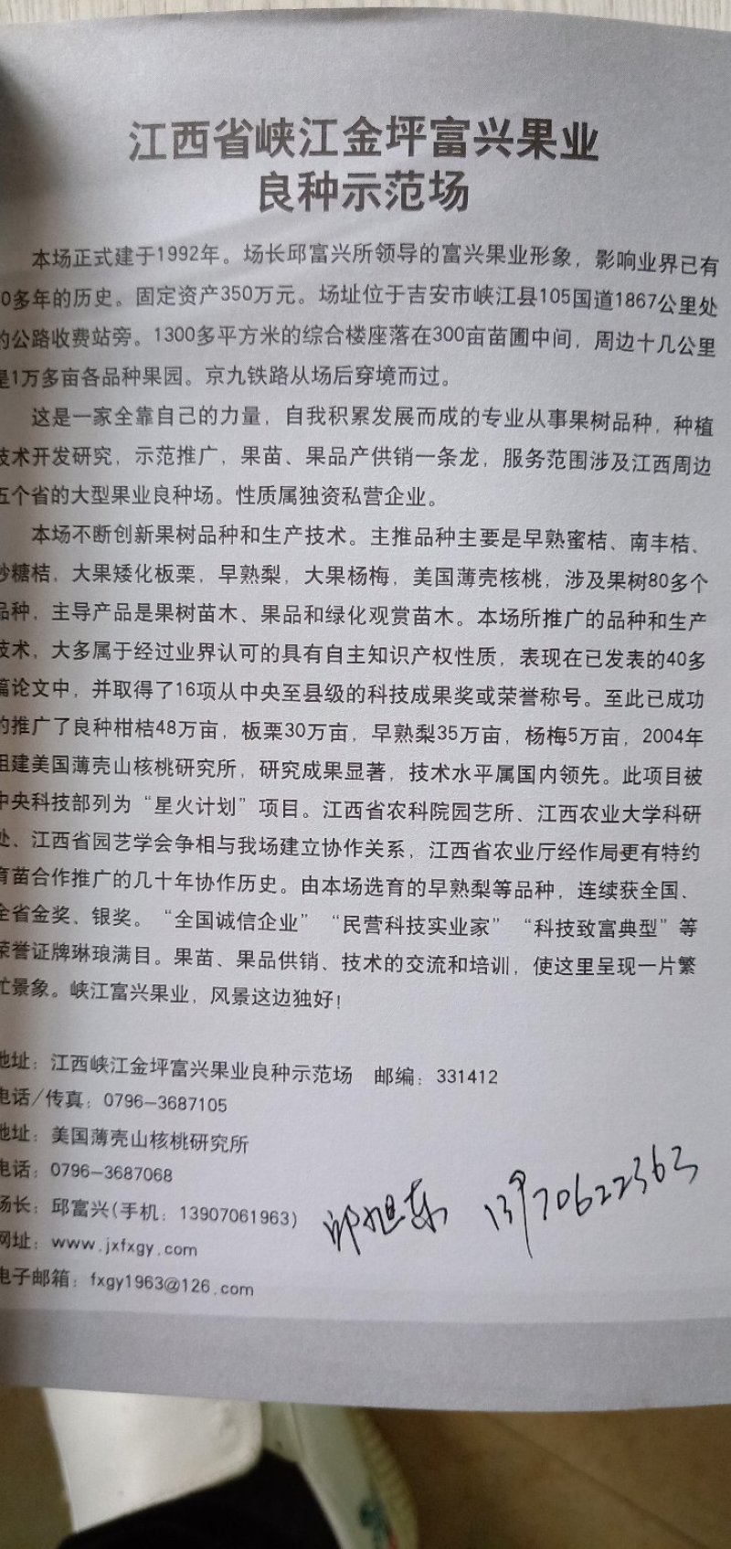 美国薄壳山核桃（碧根果）
