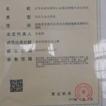 富硒金丝皇菊